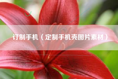 订制手机（定制手机壳图片素材）