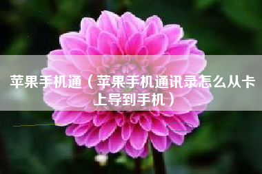 苹果手机通（苹果手机通讯录怎么从卡上导到手机）