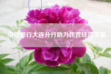 中信银行大连分行助力民营经济发展
