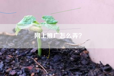 网上推广怎么弄？