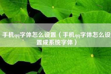 手机qq字体怎么设置（手机qq字体怎么设置成系统字体）