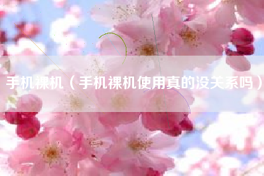 手机裸机（手机裸机使用真的没关系吗）