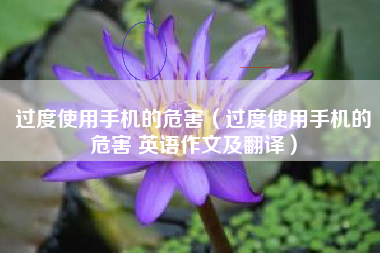 过度使用手机的危害（过度使用手机的危害 英语作文及翻译）