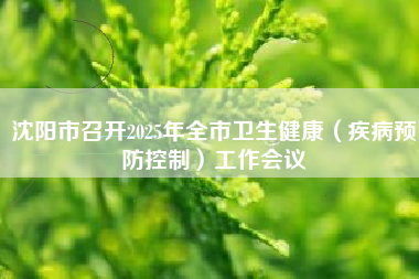 沈阳市召开2025年全市卫生健康（疾病预防控制）工作会议