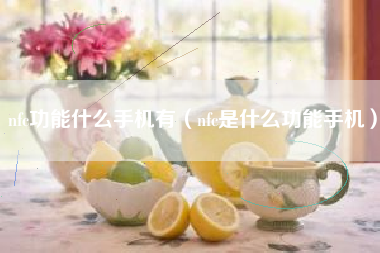 nfc功能什么手机有（nfc是什么功能手机）