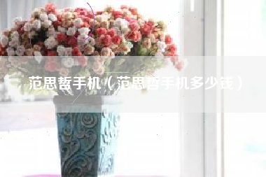 范思哲手机（范思哲手机多少钱）