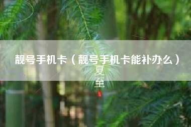 靓号手机卡（靓号手机卡能补办么）