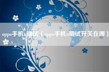 oppo手机u调试（oppo手机u调试开关在哪）