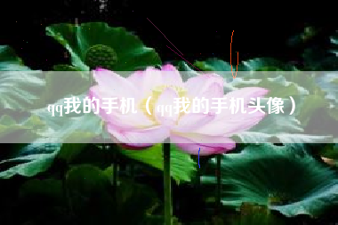 qq我的手机（qq我的手机头像）