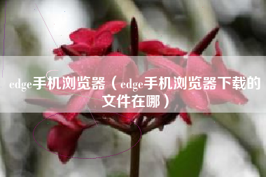 edge手机浏览器（edge手机浏览器下载的文件在哪）