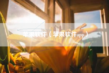 苹果软件（苹果软件app）