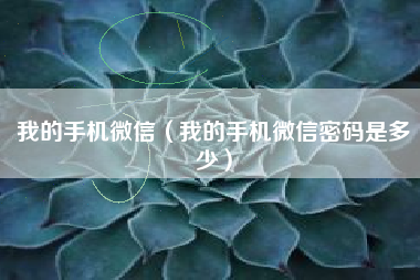 我的手机微信（我的手机微信密码是多少）