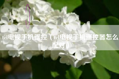 tcl电视手机遥控（tcl电视手机遥控器怎么配对）