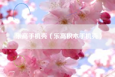 乐高手机壳（乐高积木手机壳）