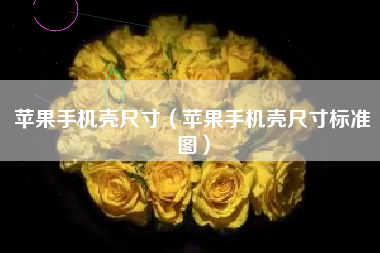 苹果手机壳尺寸（苹果手机壳尺寸标准图）