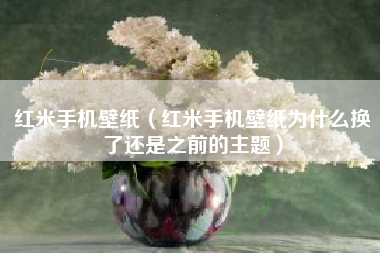 红米手机壁纸（红米手机壁纸为什么换了还是之前的主题）