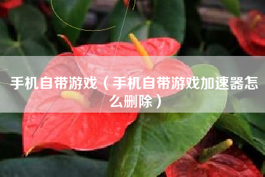手机自带游戏（手机自带游戏加速器怎么删除）