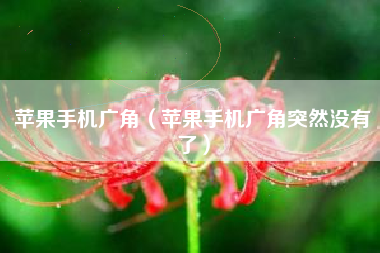 苹果手机广角（苹果手机广角突然没有了）