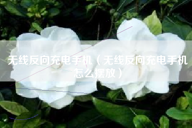 无线反向充电手机（无线反向充电手机怎么摆放）