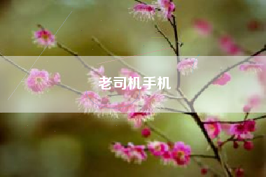 老司机手机