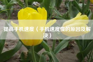 提高手机速度（手机速度慢的原因及解决）