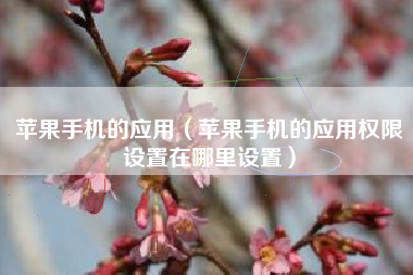 苹果手机的应用（苹果手机的应用权限设置在哪里设置）