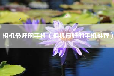 相机最好的手机（相机最好的手机推荐）