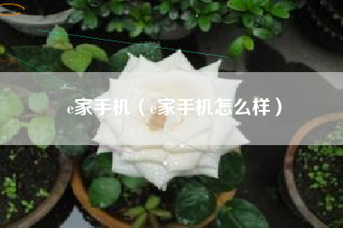 e家手机（e家手机怎么样）