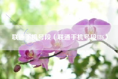 联通手机号段（联通手机号段186）