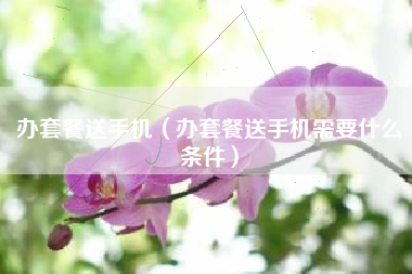办套餐送手机（办套餐送手机需要什么条件）