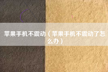 苹果手机不震动（苹果手机不震动了怎么办）