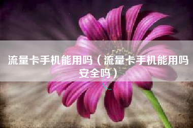 流量卡手机能用吗（流量卡手机能用吗安全吗）