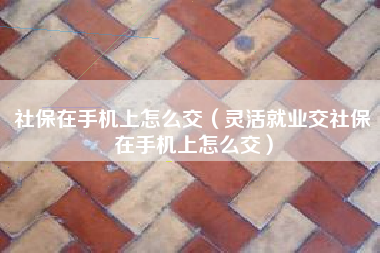 社保在手机上怎么交（灵活就业交社保在手机上怎么交）