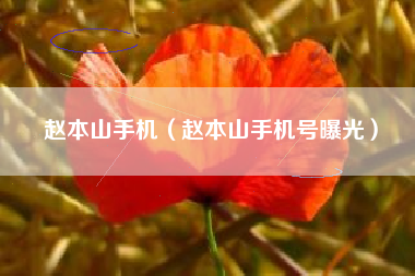 赵本山手机（赵本山手机号曝光）