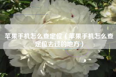 苹果手机怎么查定位（苹果手机怎么查定位去过的地方）