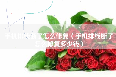 手机排线断了怎么修复（手机排线断了怎么修复多少钱）