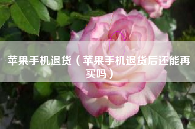 苹果手机退货（苹果手机退货后还能再买吗）
