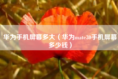 华为手机屏幕多大（华为mate30手机屏幕多少钱）