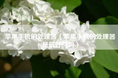 苹果手机的处理器（苹果手机的处理器是最好的吗）