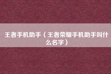 王者手机助手（王者荣耀手机助手叫什么名字）