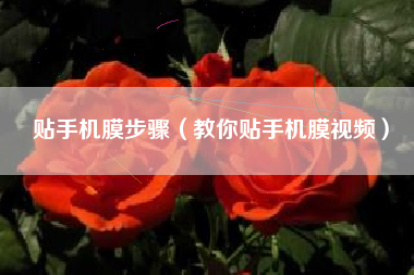 贴手机膜步骤（教你贴手机膜视频）