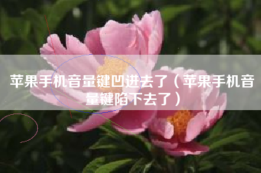苹果手机音量键凹进去了（苹果手机音量键陷下去了）