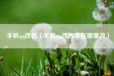 手机qq改名（手机qq改名字在哪里改）