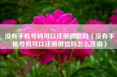没有手机号码可以注册微信吗（没有手机号码可以注册微信吗怎么注销）