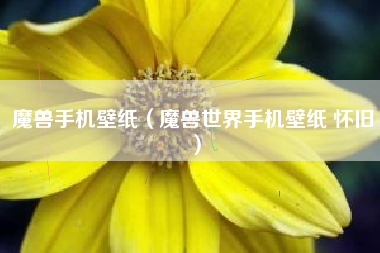 魔兽手机壁纸（魔兽世界手机壁纸 怀旧）