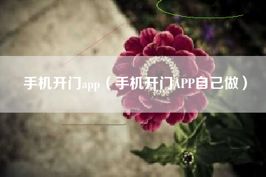 手机开门app（手机开门APP自己做）