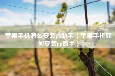 苹果手机怎么安装pp助手（苹果手机如何安装pp助手）