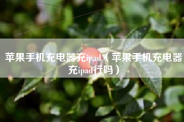 苹果手机充电器充ipad（苹果手机充电器充ipad行吗）