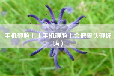 手机砸脸上（手机砸脸上会把骨头砸坏吗）