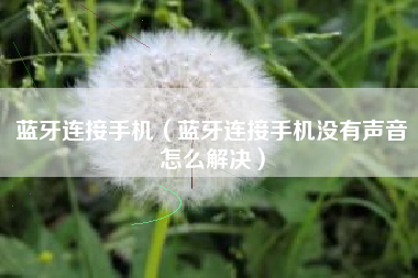 蓝牙连接手机（蓝牙连接手机没有声音怎么解决）